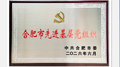 美而特党支部获评“合肥市先进基层党组织”